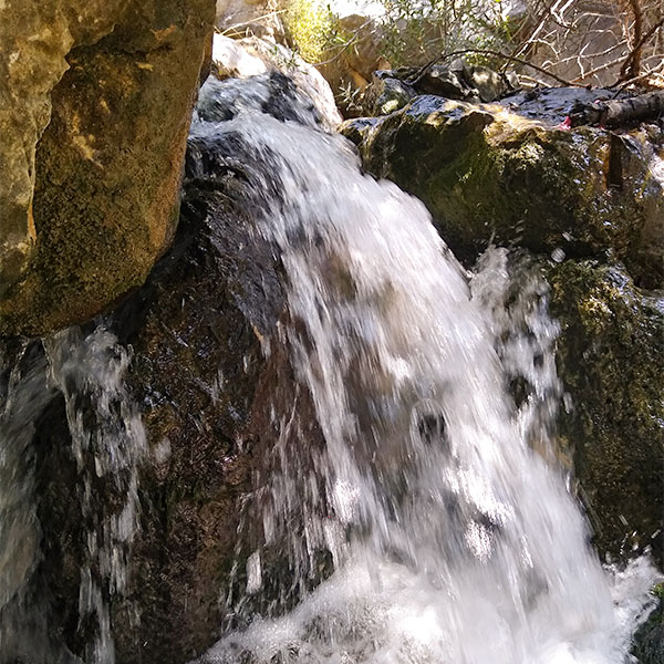 Masterclass – Energetische Klärung & Reinigung